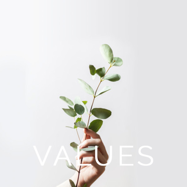 Values-1